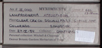 Image Associated With the Occurence